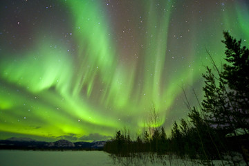 aurora borealis, yukon, canada