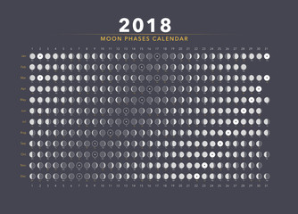 Wall Mural - moon phases calendar vector