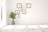 Fototapeta  - White empty room. Scandinavian interior design. 3D illustration