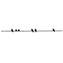 Pigeon Silhouettes On The Wire. Vector Illustration