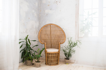 Wicker doll chair and a lot of greenery in the pot in the room with grey walls. Rattan chair and furniture on the wooden floor. Wicker chair.