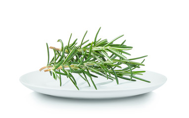 Wall Mural - Rosemary in white plate on white background