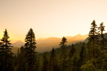 Panoramic View Of Mount Rainier National Park, Washington State, USA