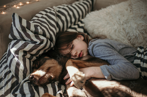 Fotografía Old female dog and her best friend sleeping in modern bedroom