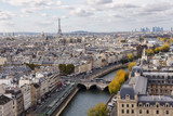 Fototapeta Sypialnia - Paris seen from the top of Notre Dame