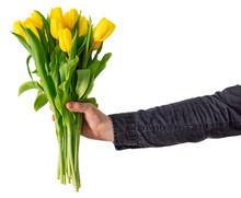 Man's Hand Hold Bouquet Of Yellow Tulip. Love Symbol. Isolated