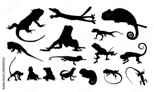 Fotomural set of Various Iguana Silhouette vector illustration, Various chameleon logo vec