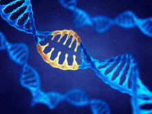 Double Helix DNA Molecule With Modified Genes , Correcting Mutation By Genetic Engineering