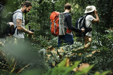 Wall Mural - People Trekking in a forest