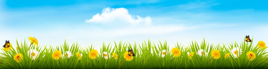 Poster - Spring nature landscape banner with flowers and butterflies. Vector.