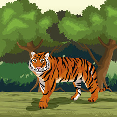 Wall Mural - Tiger in the jungle vector illustration graphic design