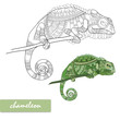 Chameleon with doodle pattern. Coloring page - zendala, design for relaxation for adults, vector illustration, isolated on a white background. vector