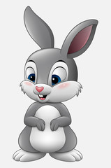 Wall Mural - Cute rabbit cartoon isolated on white background