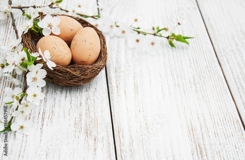 Zdjęcie XXL Wielkanocni jajka i wiosna okwitnięcie