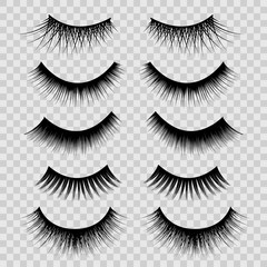 Sticker - Realistic Detailed 3d Feminine Black Lashes Set. Vector