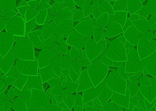 Big Dense Foliage Carpet Background Texture