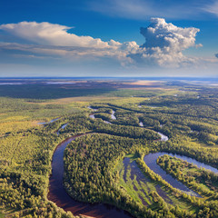 Wall Mural - Forest plain with river