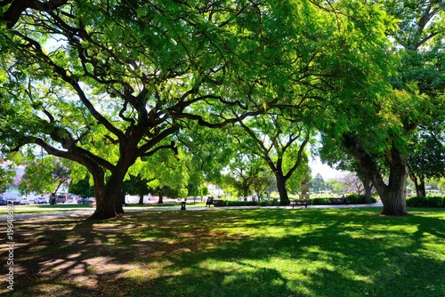 リスボンの森のような広大な庭園風景 森のような広い庭園だ Buy This Stock Photo And Explore Similar Images At Adobe Stock Adobe Stock