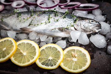 Wall Mural - fresh fish. Trout with  lemon and spices on dark background. Cooking fish with herbs thyme.