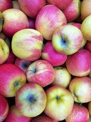 Wall Mural - apples texture of food.