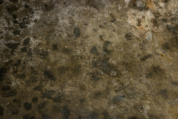 Aufkleber - Old cement background in shades of green. Dark concrete texture material.