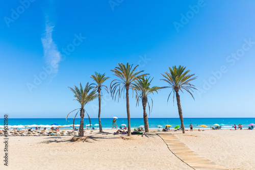 Fotografia  Seaside in Alicante, with palm trees on the beach