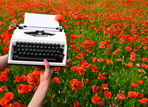 journalist on the meadow preparing for his next article