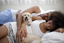 Affectionate Couple Sleeping On Bed With Labrador Puppies.