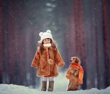 The Girl And The Fox In Winter