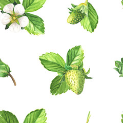 Green strawberries watercolor seamless pattern. Hand drawn realistic leaves, flowers and green berries on white background.