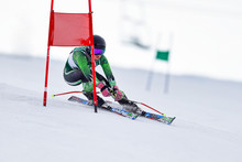 Giant Slalom Skier At A Gate