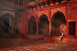 young guy sitting under the rays of the morning sun and watching the Taj Mahal mosque