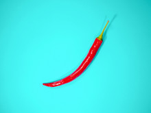 Red Chili Peppers Isolated On Blue Background. Top View, Flat