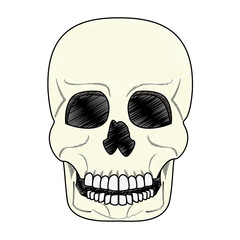 Wall Mural - Human skull cartoon vector illustration graphic design