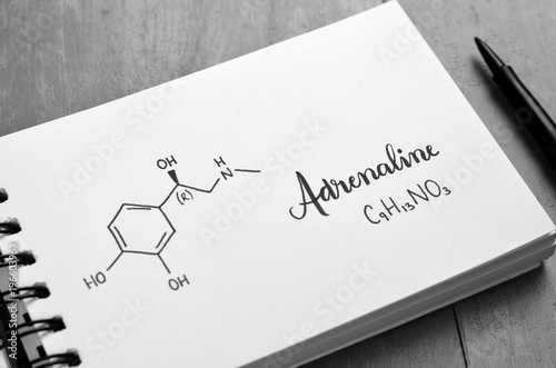 Fotografie, Obraz ADRENALINE Chemical Formula and Structure in Notebook
