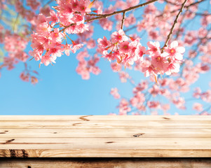 Wall Mural - top of wood table empty ready for your product and food display or montage with pink cherry blossom 