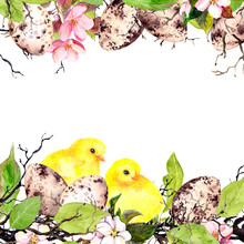 Easter Eggs, Chicks, Grass And Pink Flowers. Watercolor Easter Card