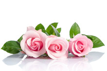 Bouquet  Of Beautiful Pink Roses Lying On White Background