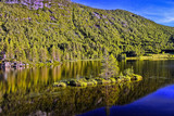 Fototapeta Do pokoju - The forest reflects in the lake, Norway, Scandinavia
