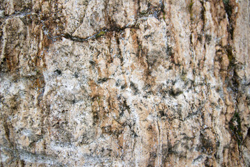 Wall Mural - detail of a stone-cut stone