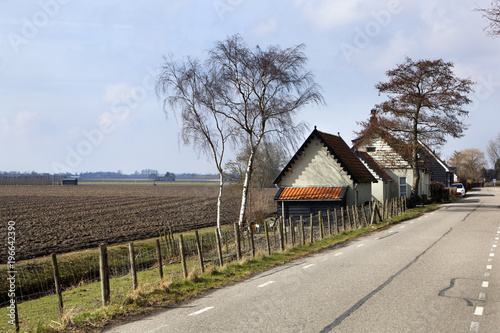 Fotomural Country road and a plowed field in Dutch polder landscape
