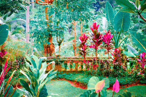 Surreal colors of fantasy tropical garden