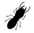 shadow of termite with white back ground,cartoon style,isolated vector illustration
