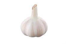 Fresh Garlic Head On White Background Isolated