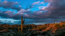Arizona Saguaro Cactus Sunset Timelapse Near Scottsdale, AZ