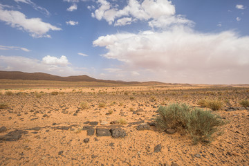 Wall Mural - Algeria - June 04, 2017: Dry landscape of the countryside of Algeria