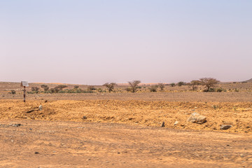 Wall Mural - Algeria - June 05, 2017: Dry landscape of the countryside of Algeria