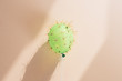 © Alita Ong/Stocksy - Balloon in disguise of cactus against wall