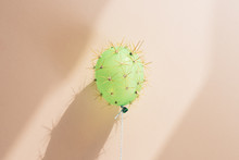Balloon In Disguise Of Cactus Against Wall
