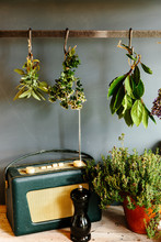 Bunches Of Fresh Herbs Hanging From A Kitchen Shelf
